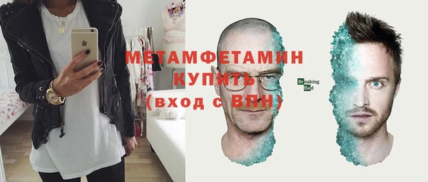 шишки Карпинск