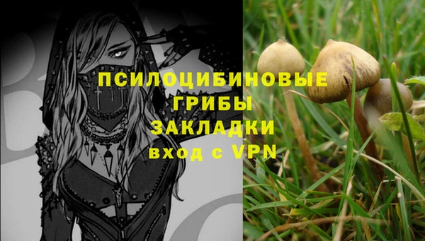 шишки Карпинск