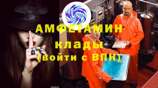 шишки Карпинск