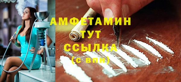 шишки Карпинск