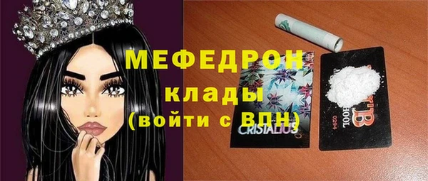 шишки Карпинск